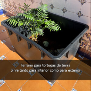 terrario para tortugas