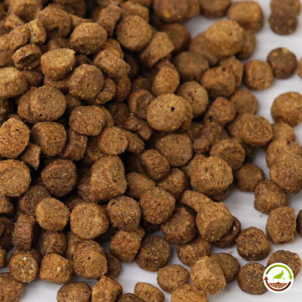 Alimento completo para tortugas acuáticas de 5 - 15 cm growth Zoo Med - Imagen 7