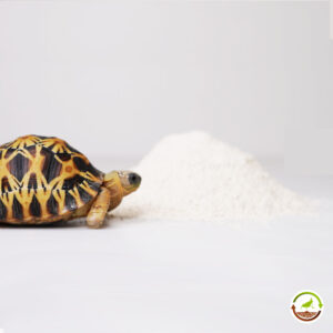 Calcio para tortugas de tierra