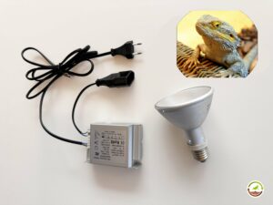 Pack bombilla hid + balastro para reptiles