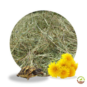 Heno para tortugas de diente de león 500g