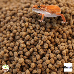 Mazuri para geckos insectivoro reptil herbivoro