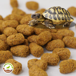 Mazuri Diet- alimento para tortugas