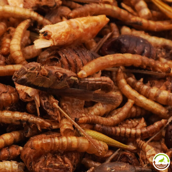 Mezcla de insectos y camarones deshidratados para animales insectivoros 1000ml - Imagen 3