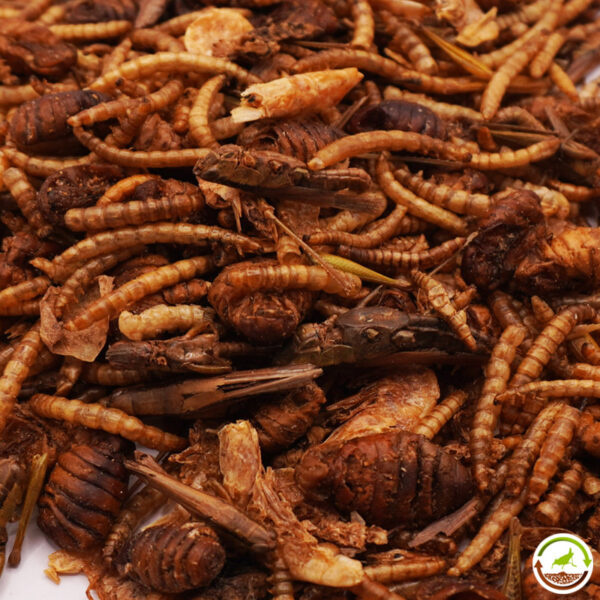 Mezcla de insectos y camarones deshidratados para animales insectivoros 1000ml - Imagen 4