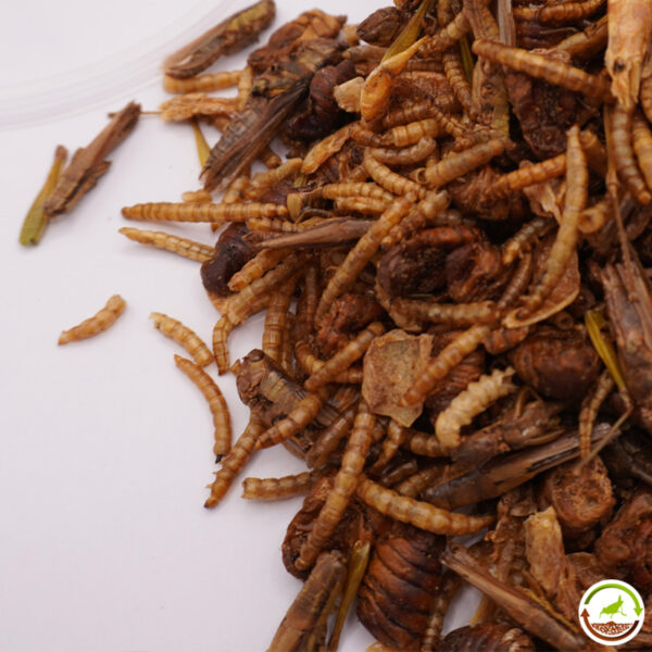 Mezcla de insectos y camarones deshidratados para animales insectivoros 1000ml - Imagen 2