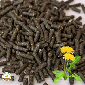 Pienso de diente de león para animales herbívoros