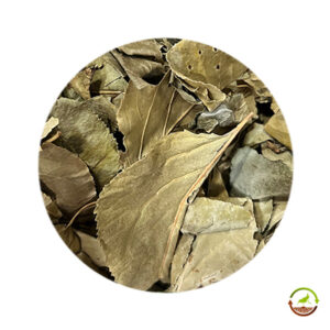 Hojas de albaricoque deshidratadas saco 12kg