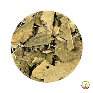 Hojas de ciruela deshidratadas saco 12kg