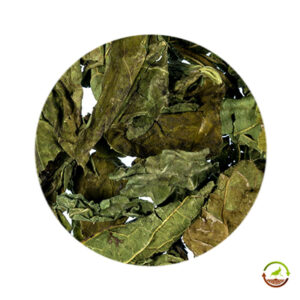 Hojas de equinácea deshidratadas saco 12kg