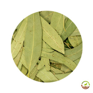 Hojas de eucalipto enteras deshidratadas saco 10kg