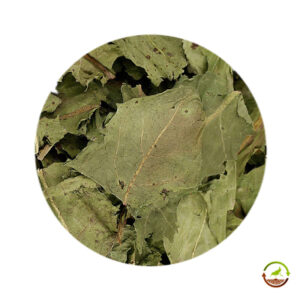 Hojas de fresa deshidratadas saco 15kg