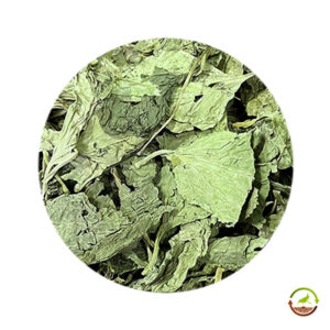 Hojas de llantén mayor deshidratadas saco 15kg