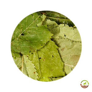 Hojas de manzana deshidratadas saco 12kg