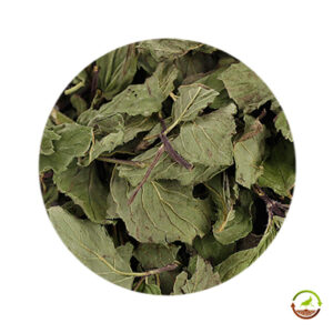 Hojas de menta deshidratadas saco 5kg