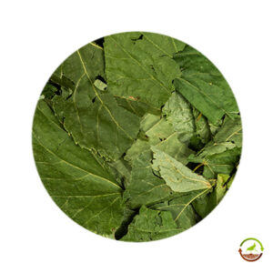 Hojas de tilo deshidratadas saco 10kg