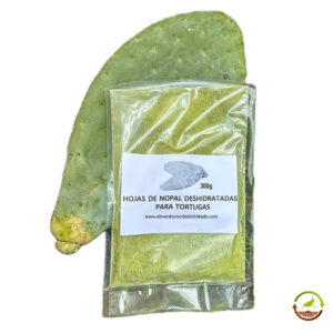 Nopal en polvo para tortugas de tierra 300g