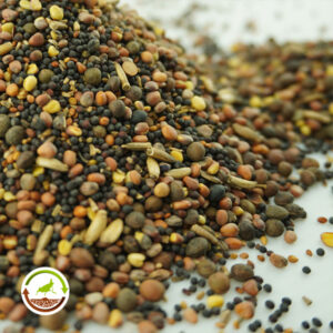 Semillas para reptiles herbívoros